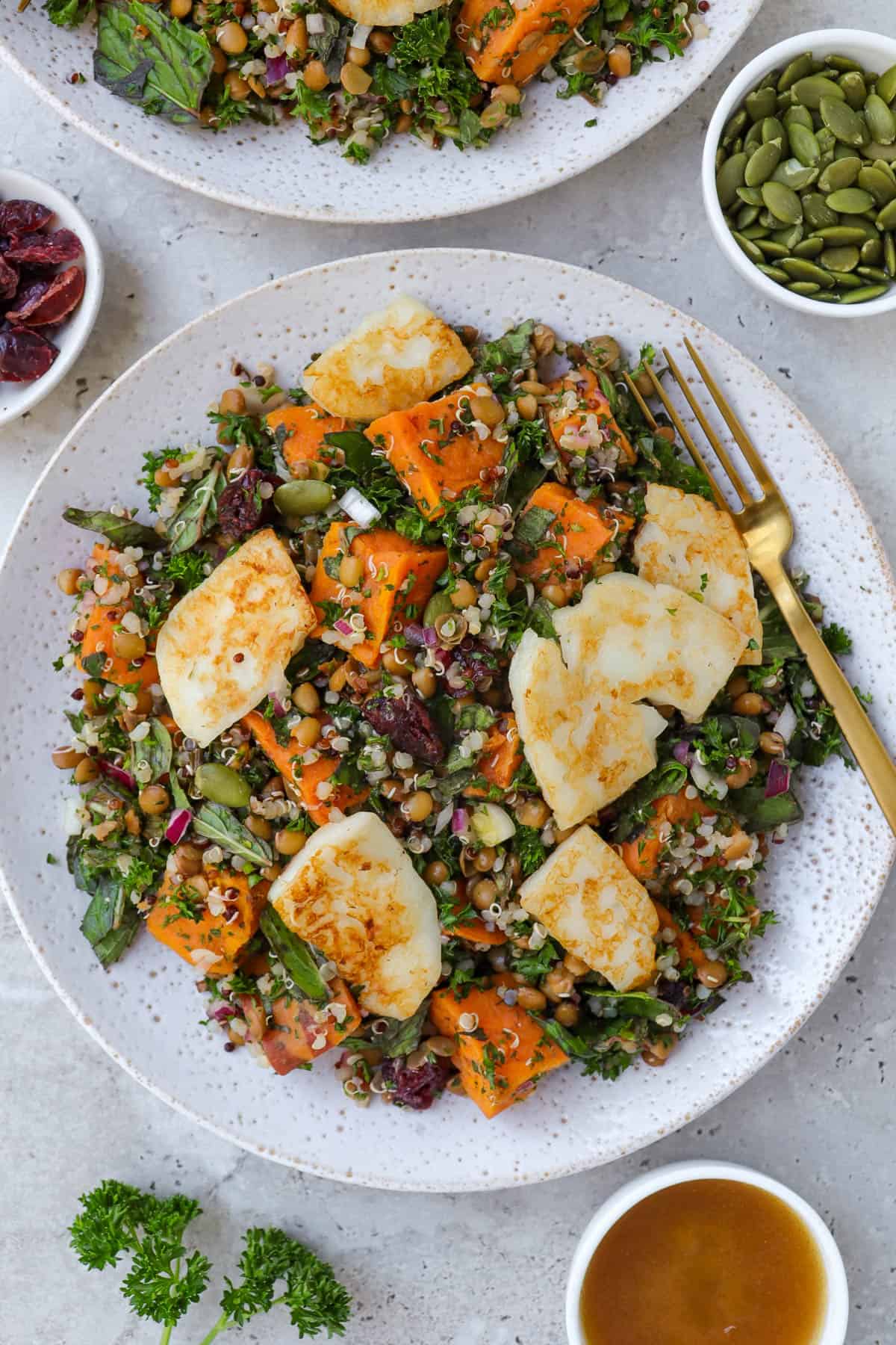 Halloumi salad on plate with fork.