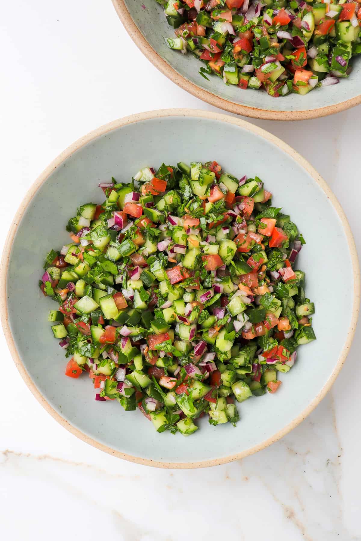 Jerusalem salad in 2 bowls.