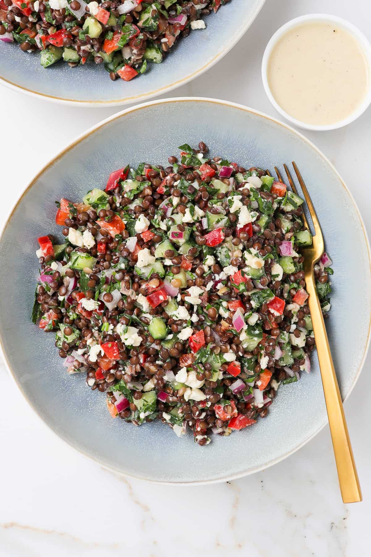 Black lentil salad in a bowl with a gold fork.
