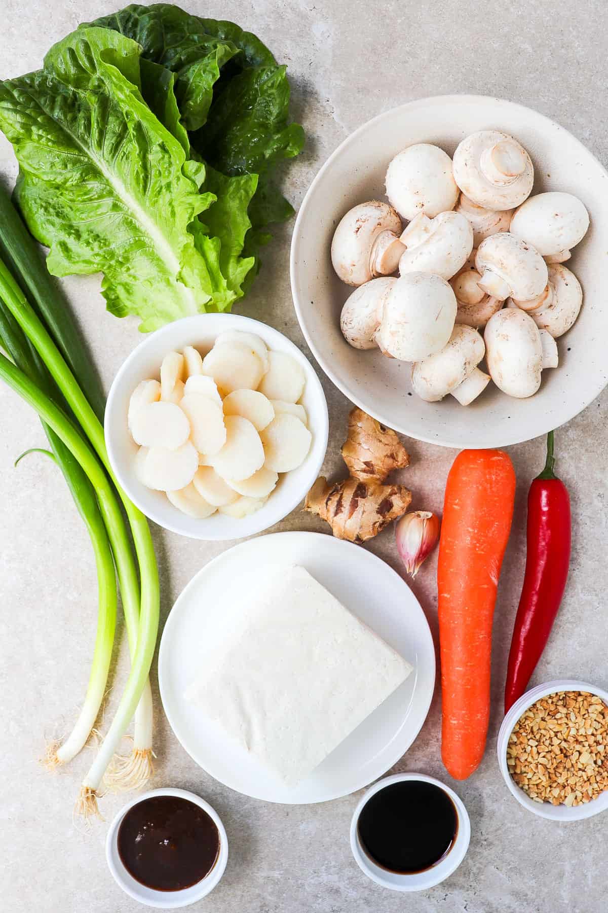 Ingredients shown to make vegetarian san choy bow.