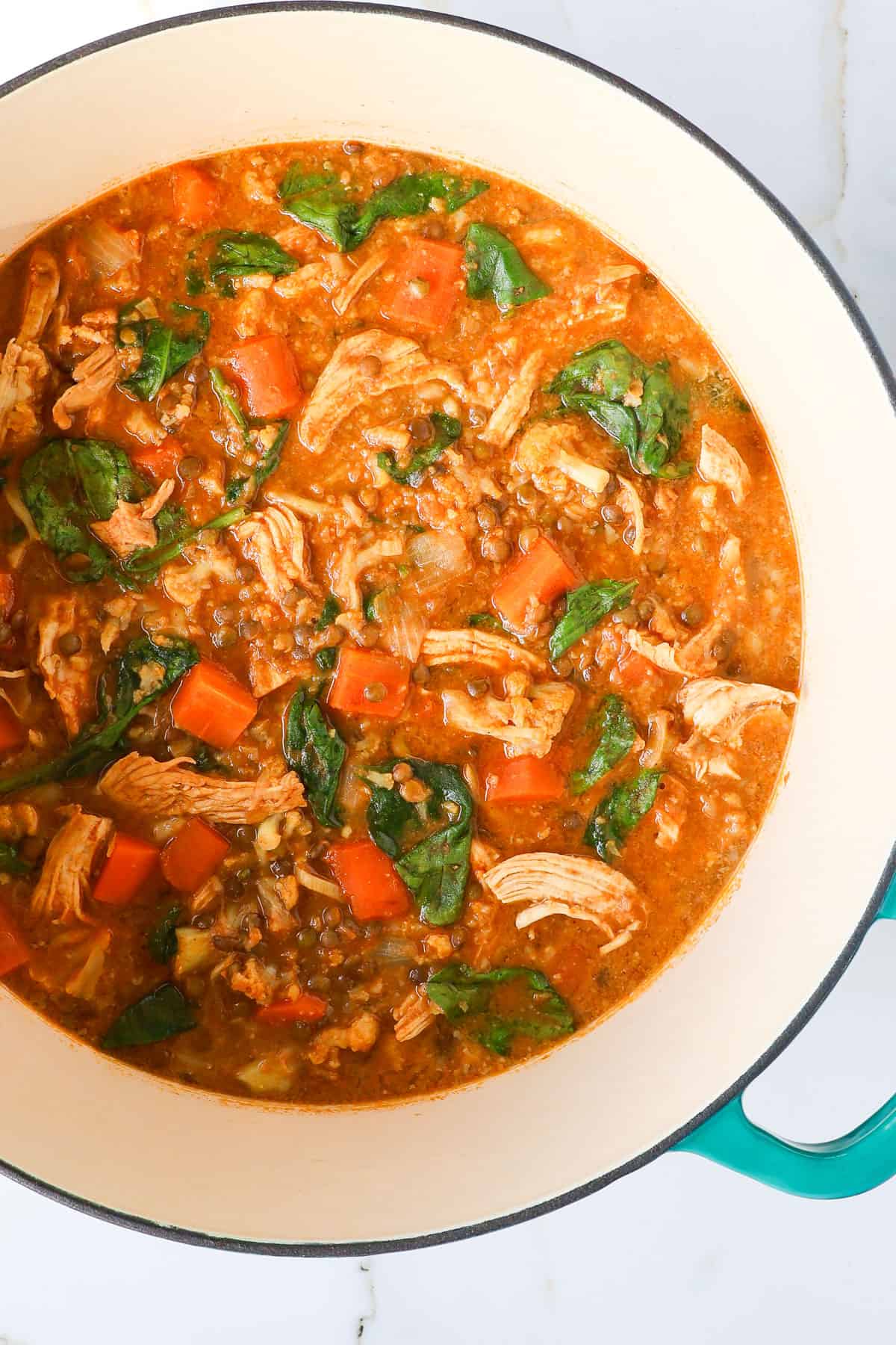 Close up shot of the stew in a pot.